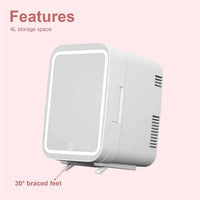 Chic Mini Beauty Fridge